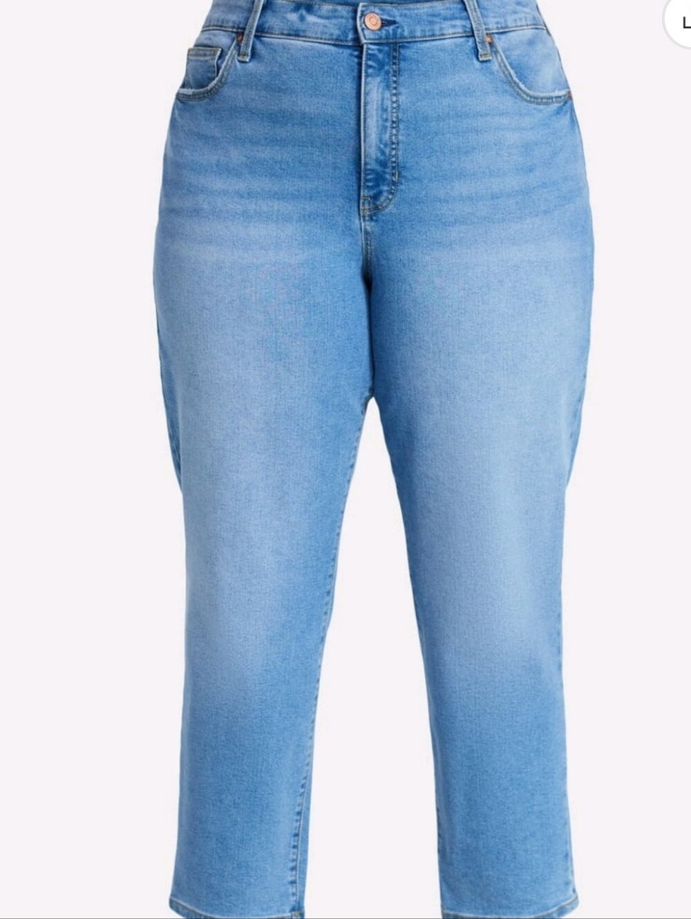 Terra & Sky Women's Plus High Rise Straight Jeans,